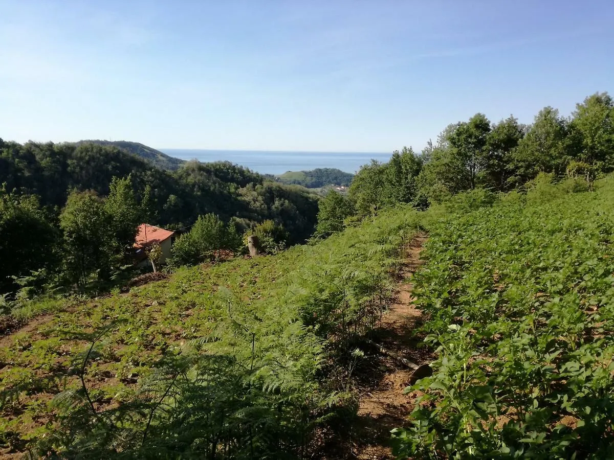 Alloggio per agriturismo Agriturismo Verdure Naturali Villa Genova